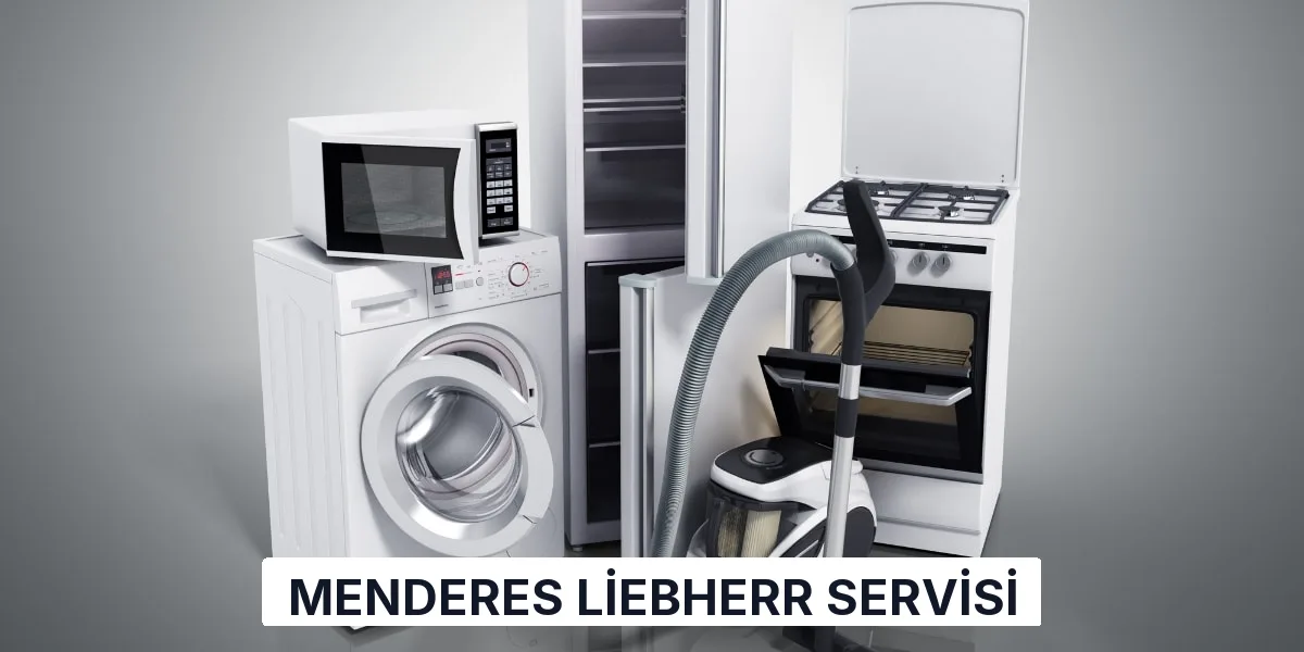 Menderes Liebherr Servisi